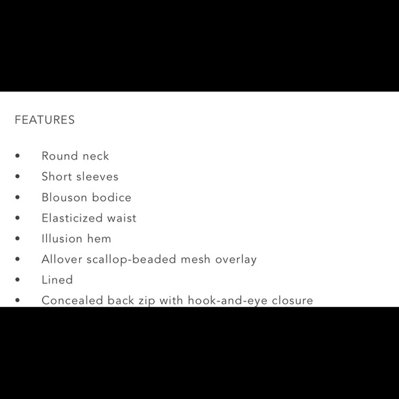 ✨Adrianna Papell Scalloped Beaded Blouson Gown - Picture 4 of 5